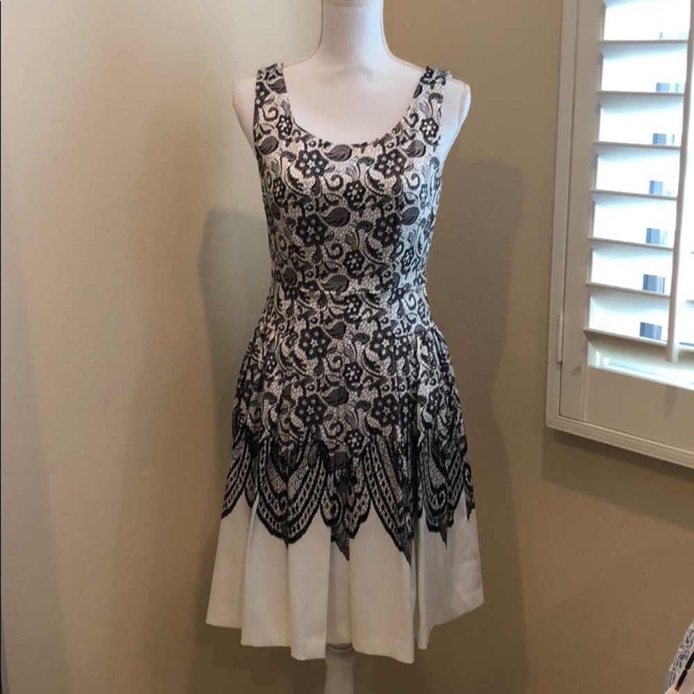 Lace Graphic Dress